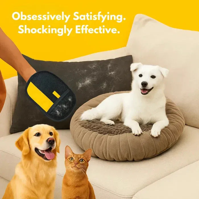 Washable Pet Hair Remover Glove for Sofa, Bed & Carpet